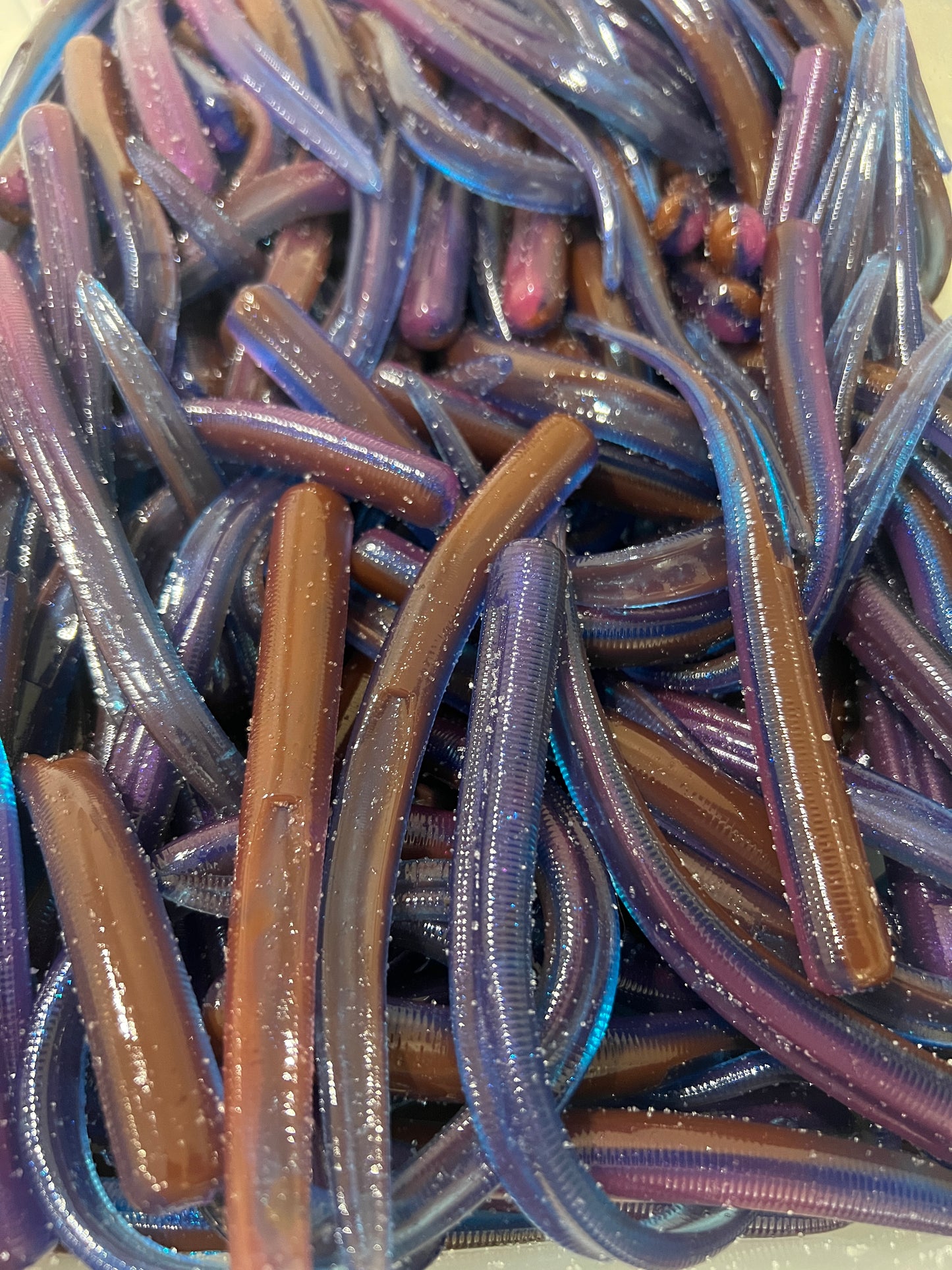 8.5" Wormser